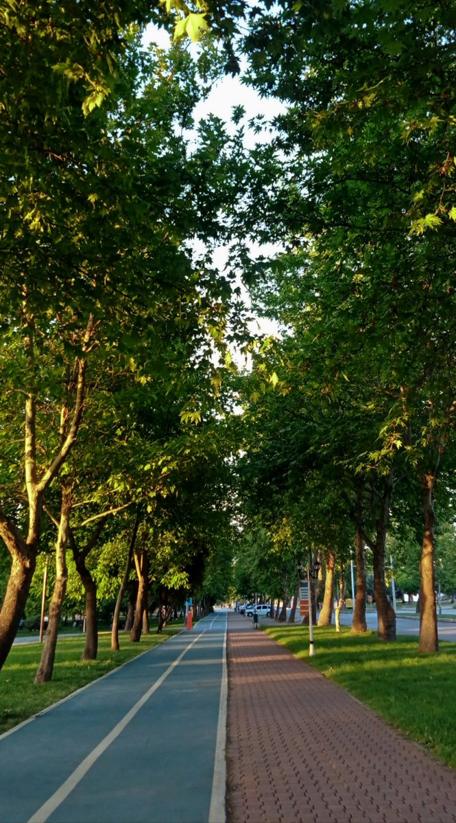 sumye03's tweet photo. ben kampüsümü özledim🥲

İnönü üniversitesi https://t.co/j0kNPw399P