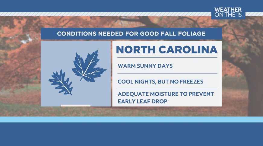 NoelRehm's tweet photo. Yes, we are bringing out the fall foliage map! Trees are now beginning to show autumn colors throughout western North Carolina. Peak fall color is only a matter of weeks away for much of the state.
#ncwx #cltwx #fallfoliage #autumn #fallcolor #leafseason https://t.co/AuEiplvob7