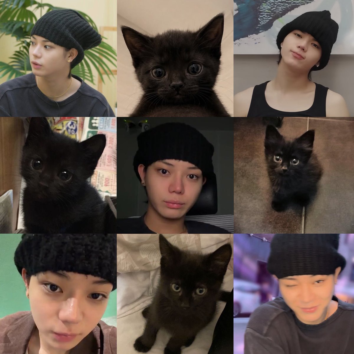 jasuov's tweet photo. black cat 🐈‍⬛ https://t.co/1rmlegEMuA