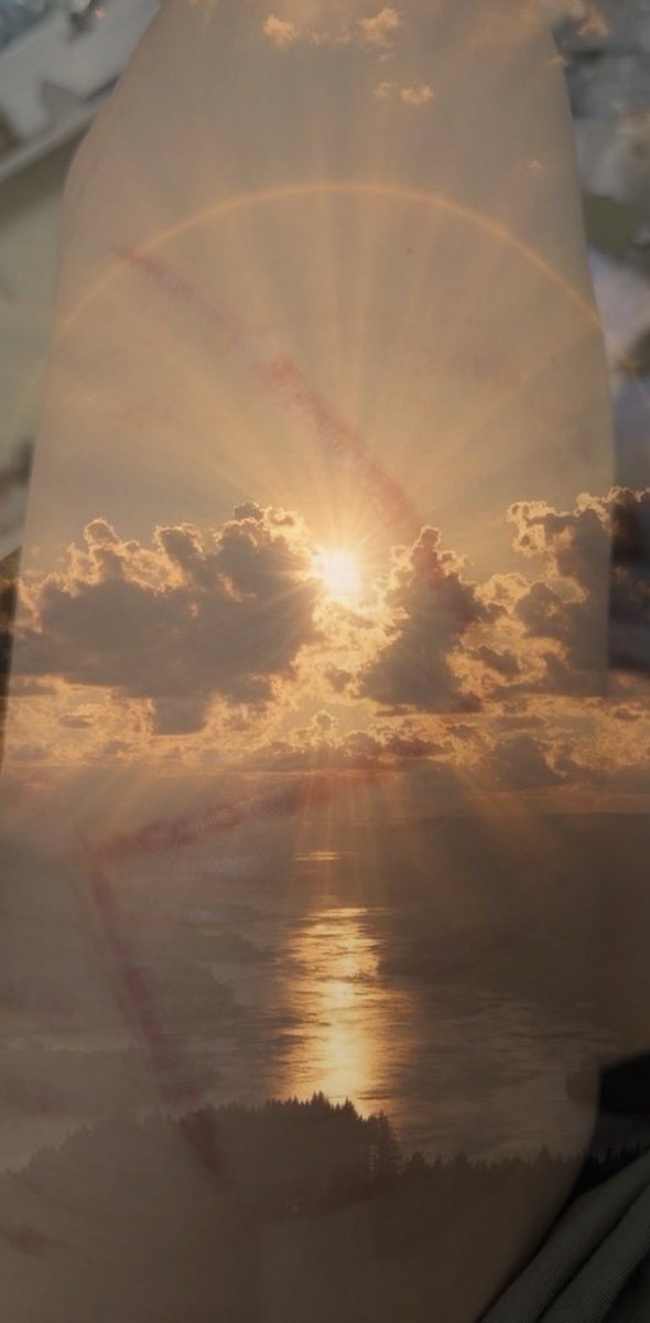 Peakshtwt's tweet photo. Got this beautiful sunrise picture
#Fake #makeup #fakebody #shtwt #scarspo #vent https://t.co/bjuIQT0qDl