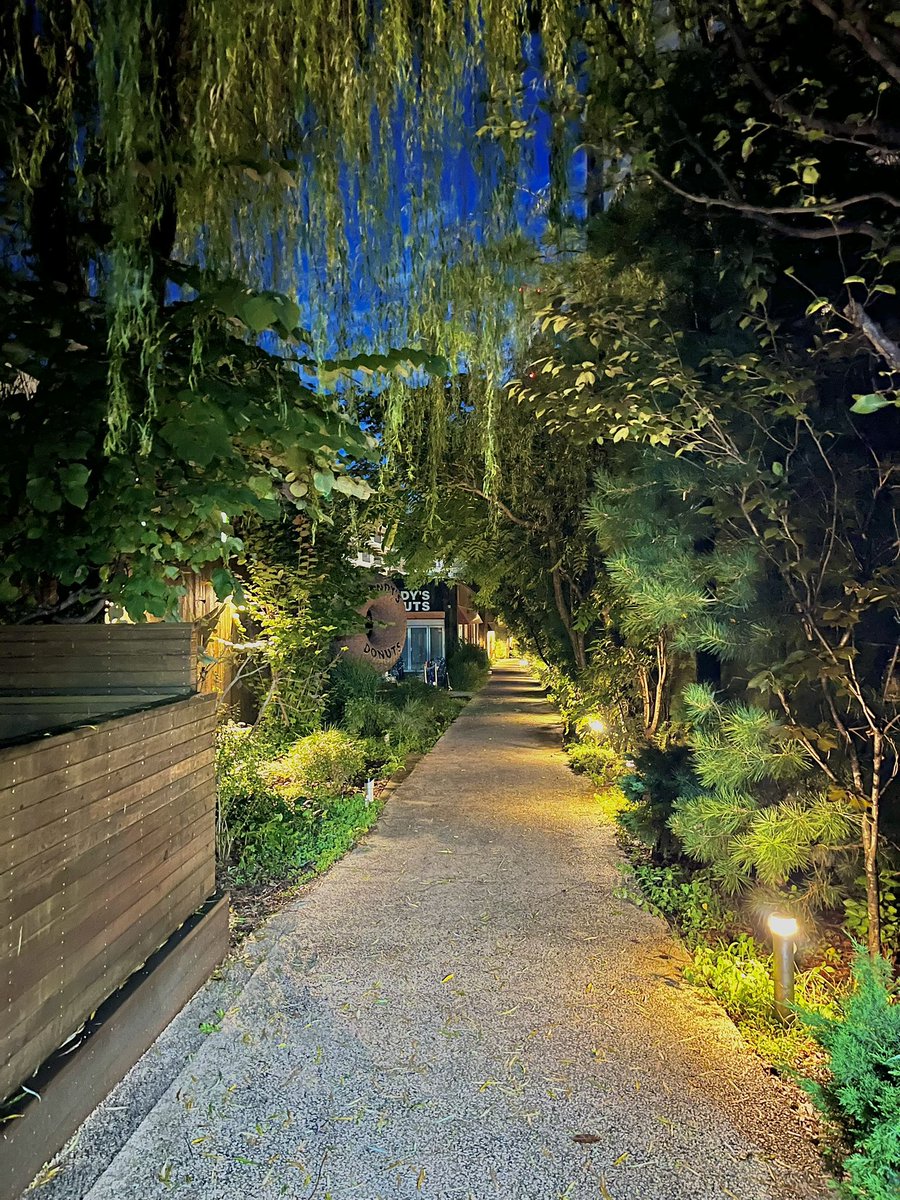 aotohappyman's tweet photo. 家の近くで1番好きな道お散歩🚶
みんなおはよー！！！ https://t.co/WLzQX7nage