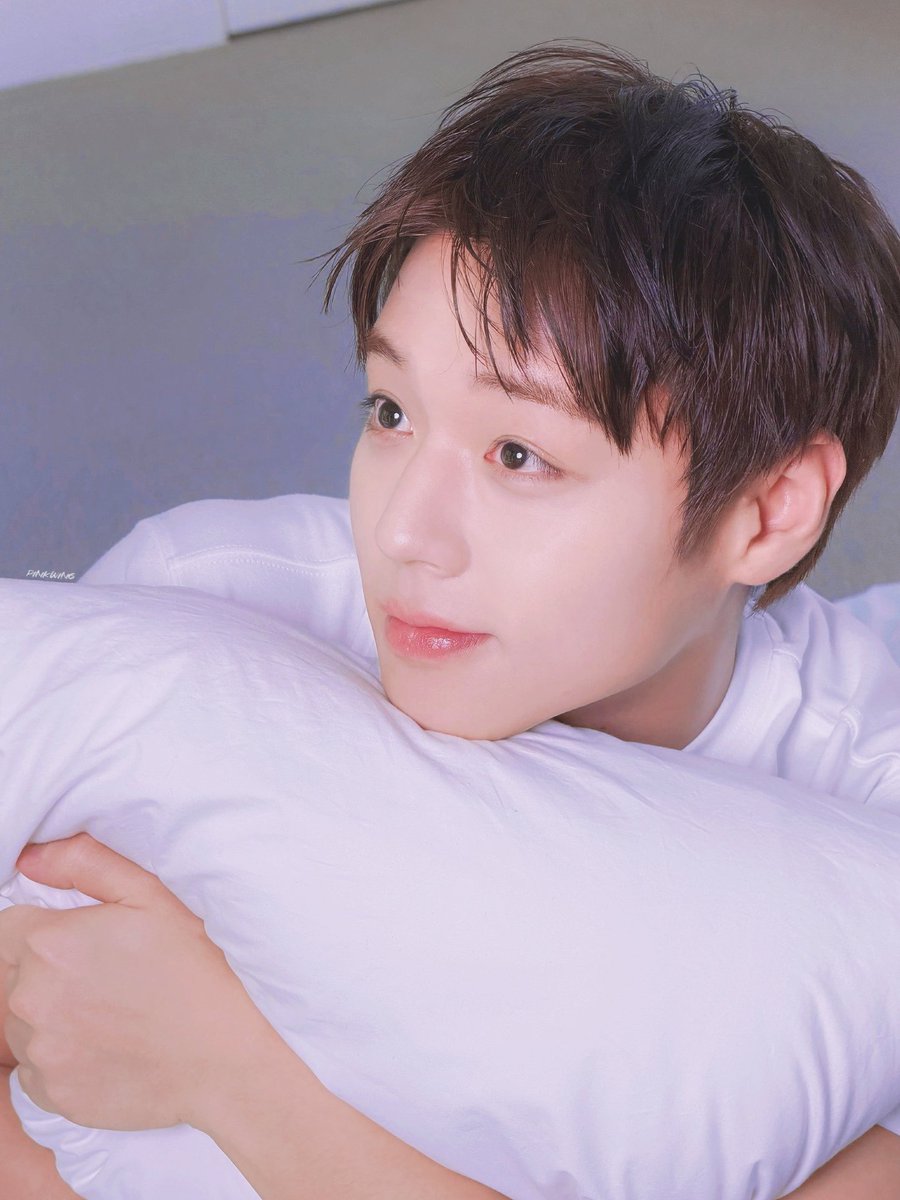pinkwing_529's tweet photo. ‧₊˚ ☁️⋅♡𓂃🫧🤍°•*⁀  ᰔ ࣪ ִֶָ☾.
📂https://t.co/dLPAPmap33

#박지훈 #PARKJIHOON https://t.co/7diNH1H3jf