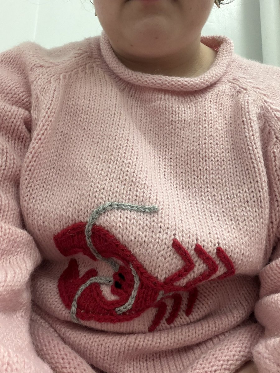 forcertainbecuz's tweet photo. @APanther369 Lobster sweater! (And a toilet selfie) https://t.co/Mc4gKHUkDZ