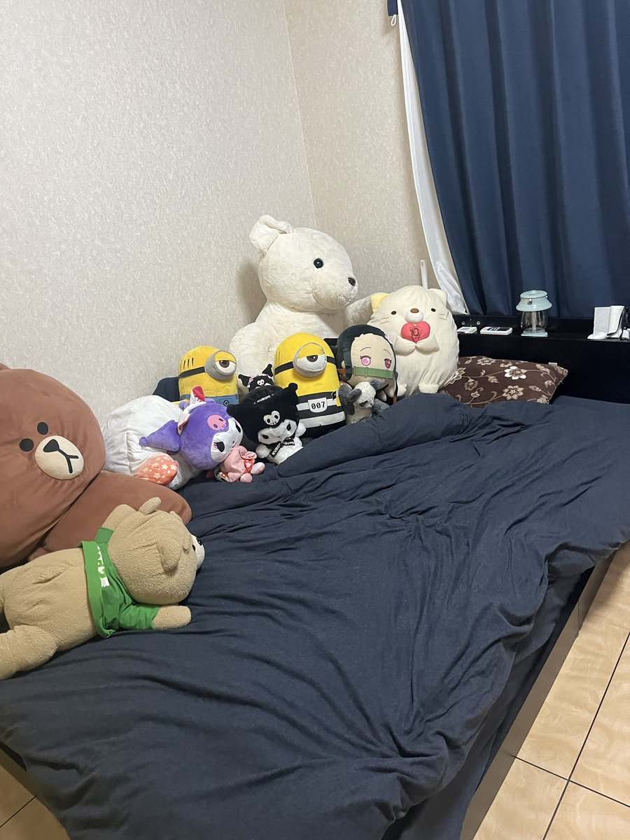 rion74_ot's tweet photo. ベッド占拠されてる... https://t.co/jQIuuN13Lu