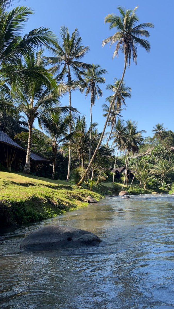 slouii_OD's tweet photo. Summer vacation 🥳 https://t.co/gWp6oF2eMh
