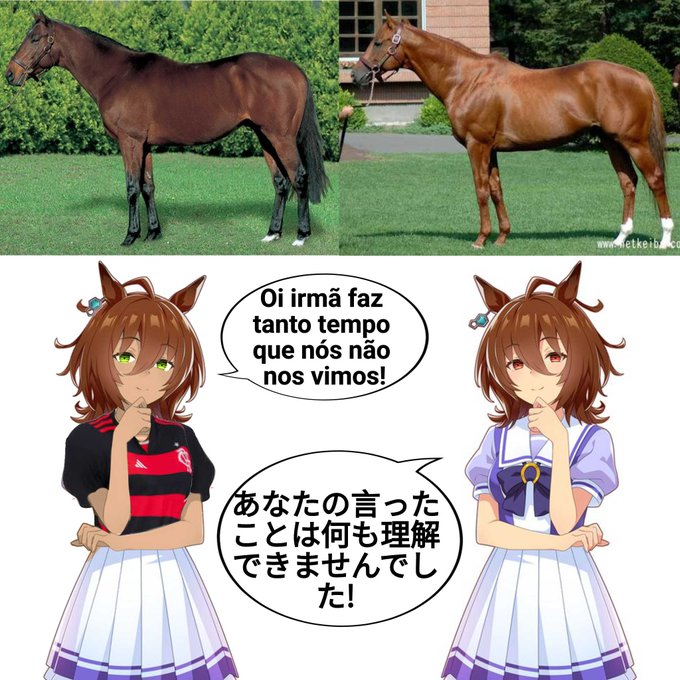 UmaMusumeBr4sil's tweet photo. https://t.co/BS4kJzHUgM