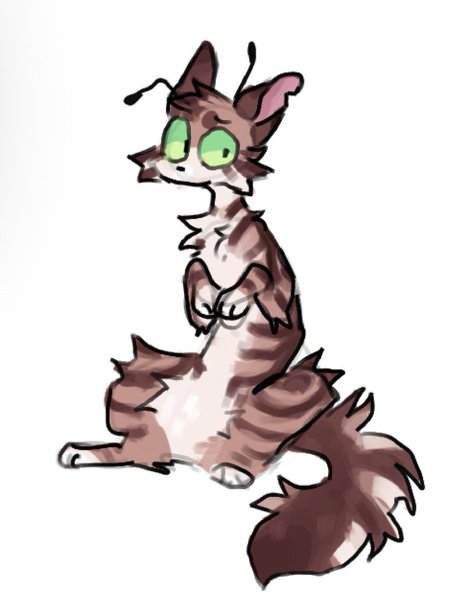 ChipperSpring's tweet photo. Drop ur warriors OC+ some lore and I will scribble them for free 🫶 
.
.
#wctwt #warriorcats #warriorcatsart https://t.co/ieTRt8WUSy