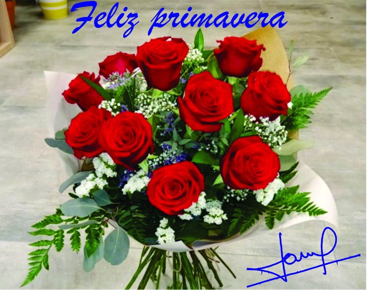 JaimedeCABA's tweet photo. Para todas las mujeres de X https://t.co/6TeGjDFeXY