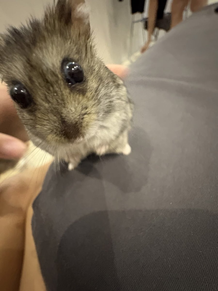 Pira_Kim's tweet photo. @zoxlzoxl https://t.co/i3kNBwD2oM