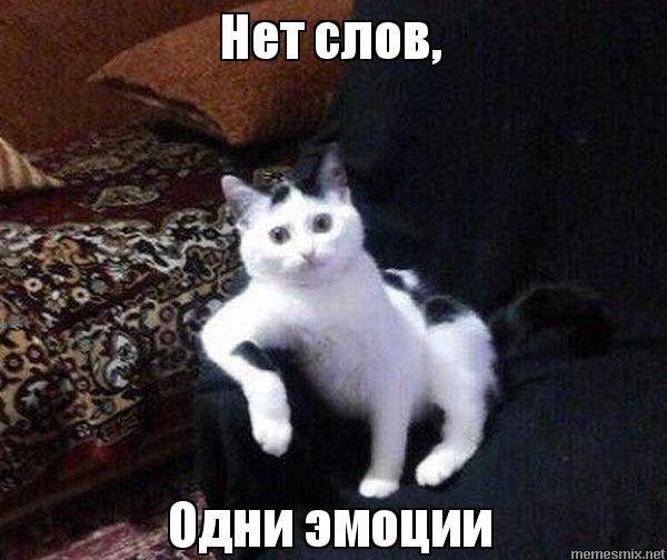 wxc1h's tweet photo. Крч, недавно начал читать ври https://t.co/Xpn4jxW6PZ