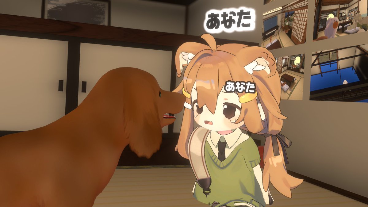 Parabel0_0's tweet photo. 犬に泣かされまめひ https://t.co/xaNmeZl9OT