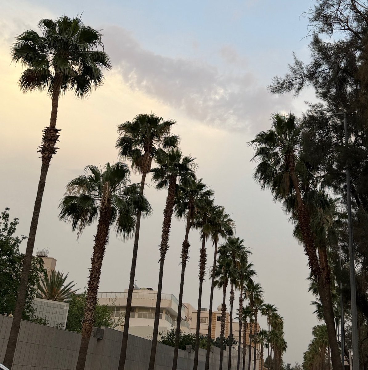 1ilfas's tweet photo. https://t.co/lc4MN7Nu6I