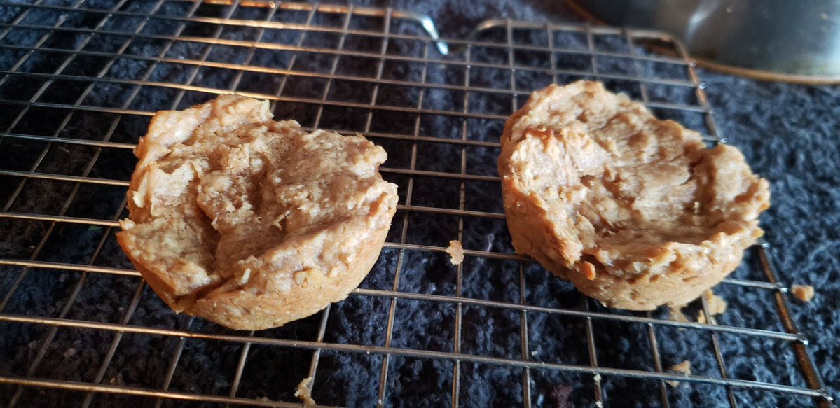 Zetto_art's tweet photo. Its my fur baby's bday today so i made her some lil peanut butter muffin thingies! https://t.co/RzBkGjkwXD