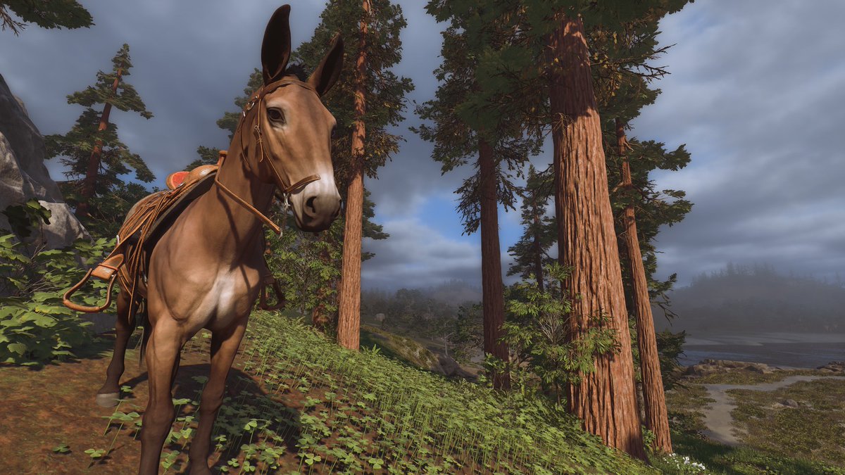 Soycrates's tweet photo. #TheLegendofCalifornia #TLOC https://t.co/GctdnnwxF3