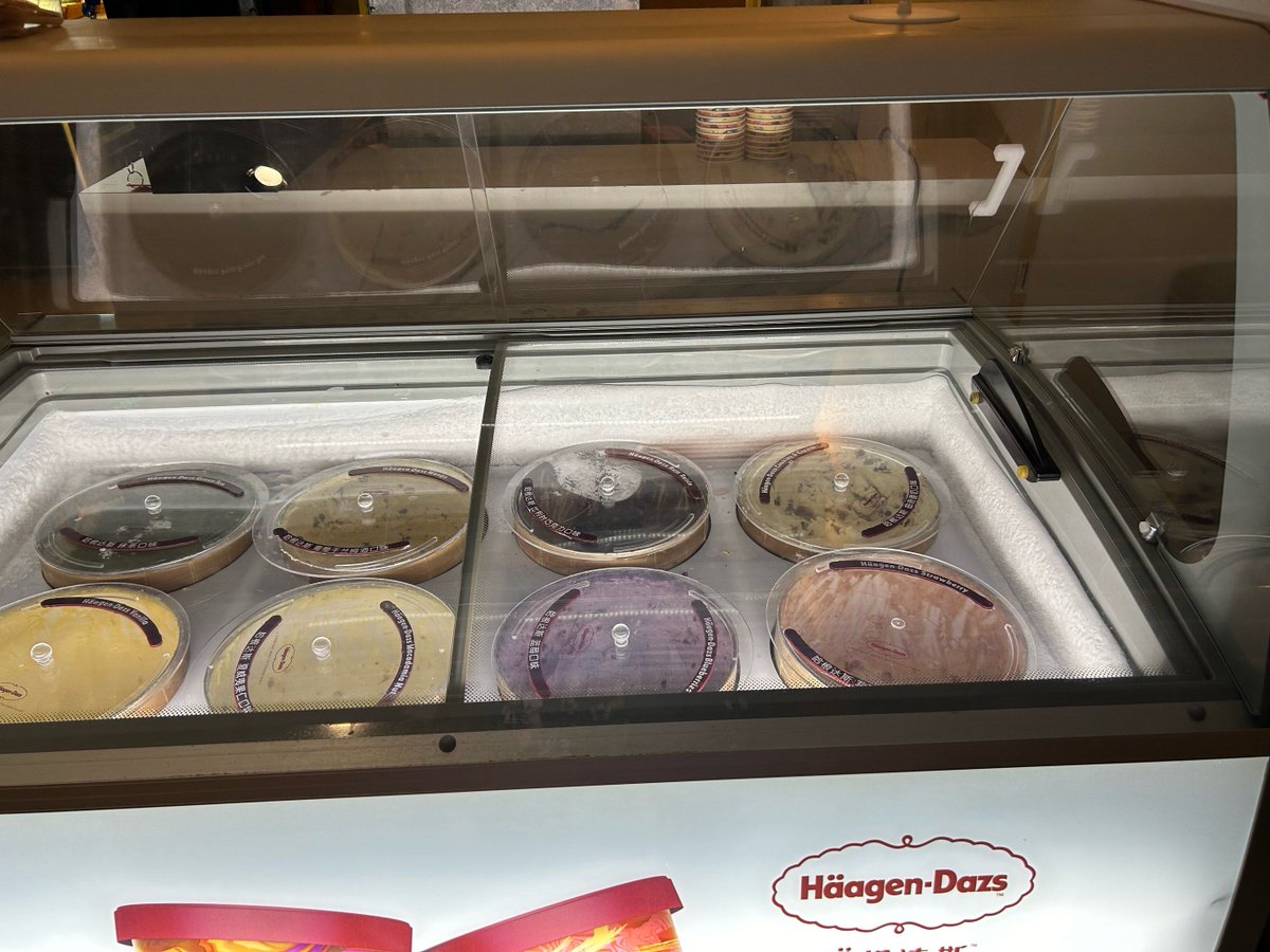 Dk42493715's tweet photo. Just restocked our fridge with cold iced coffee, creamy matcha milk, and grab-and-go fruit cups—perfect for your midday pick-me-up! Stop by today, fresh stock limited. https://t.co/wPjSdA3wBD