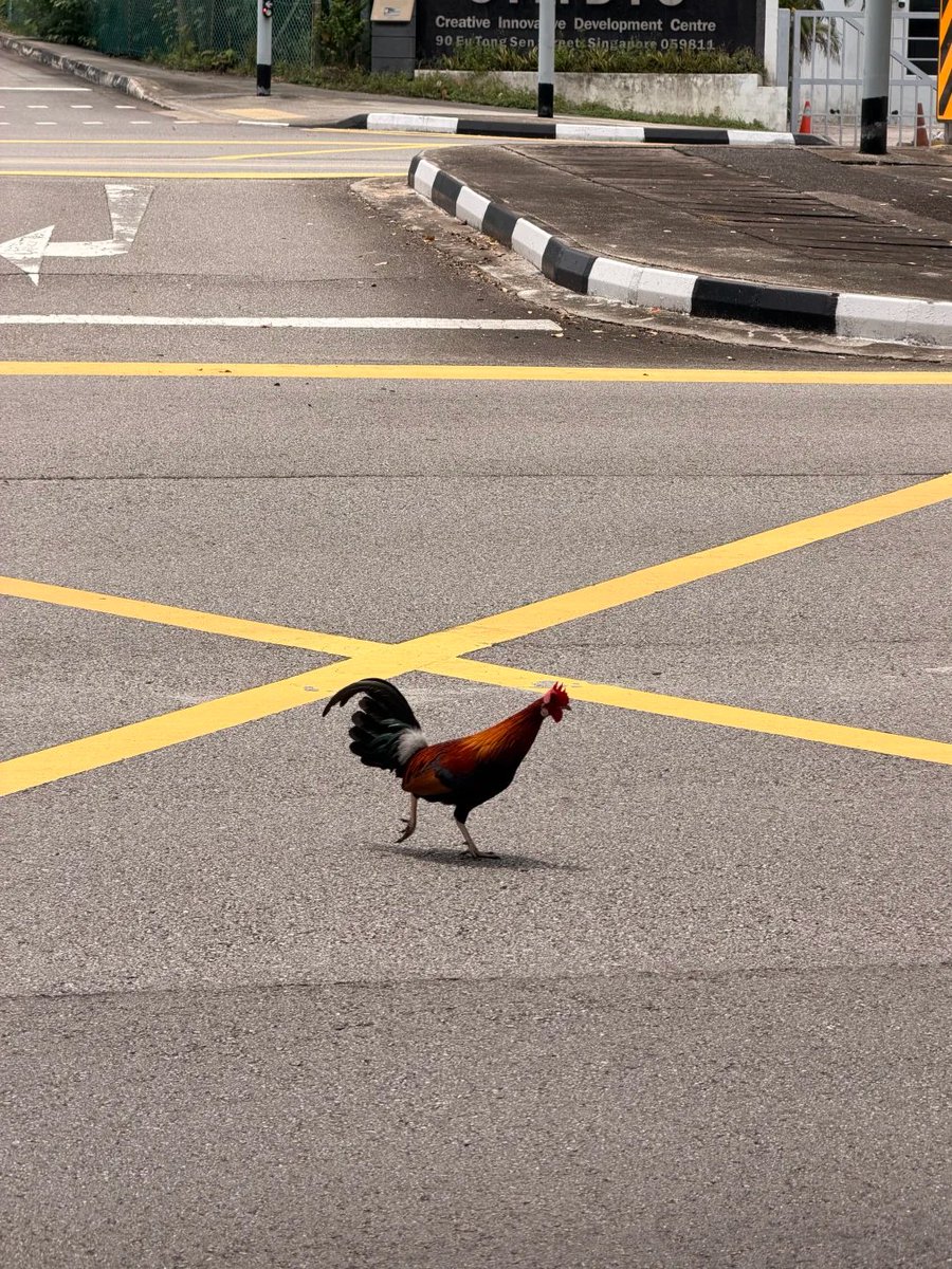 VeloraMist_U's tweet photo. Streets of Singapore vibes. https://t.co/nj5s12TajN