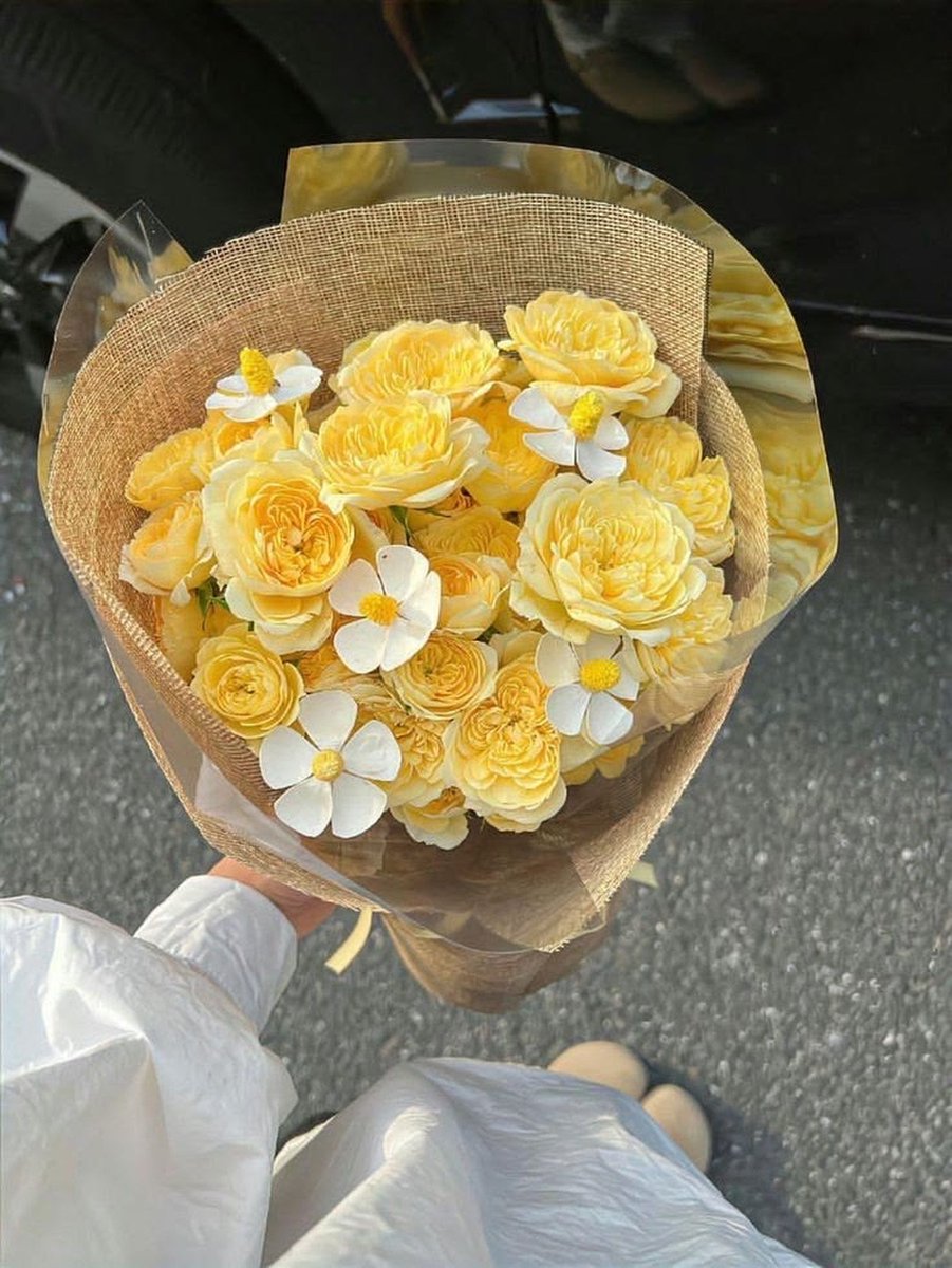 floresytes's tweet photo. ⠀⠀⠀💐 ⠀⠀ 𝑓𝑙𝑜𝑟𝑒𝑠𝑦𝑡𝑒𝑠 ⠀⎯⎯͟͟♥︎̼̻

𝑡𝑜: @ecohundido 
𝑓𝑟𝑜𝑚: Tu Susie. <3 

❝ Vos tampoco te podías quedar sin recibir tus flores amarillas de parte de la persona que más te ama. ⟩ https://t.co/F5C4ie8fXv