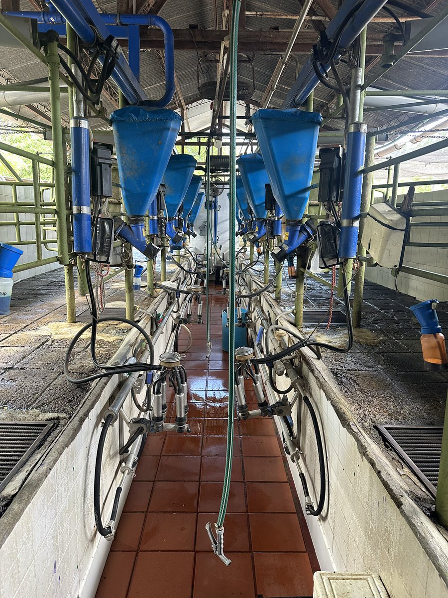 RicardoArenasO's tweet photo. La producción de leche de calidad si es posible en trópico bajo. Nace en la fertilización y manejo de praderas, se produce gracias al mejoramiento genético y reproductivo y se cosecha con tecnología y eficiencia en el ordeño
@Fedegan 
@ContGanadero 
@jflafaurie https://t.co/dT8KWsDUFA