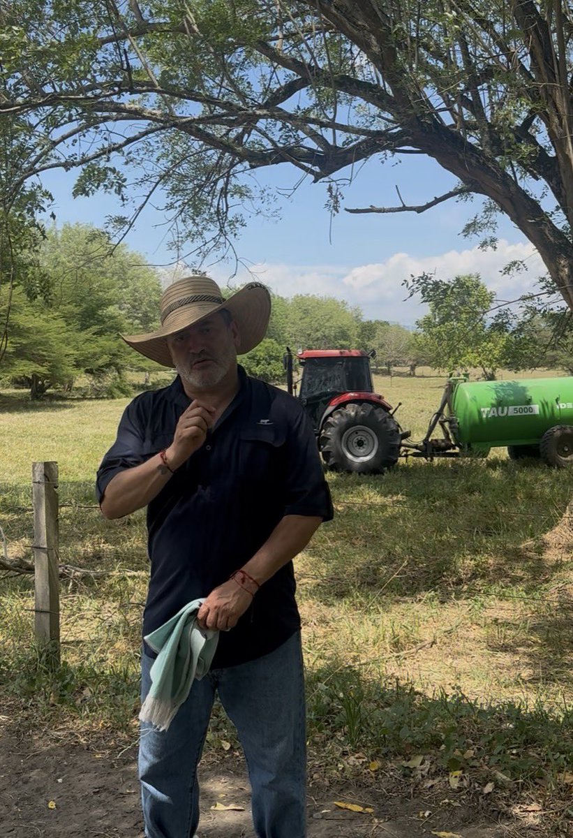 RicardoArenasO's tweet photo. La producción de leche de calidad si es posible en trópico bajo. Nace en la fertilización y manejo de praderas, se produce gracias al mejoramiento genético y reproductivo y se cosecha con tecnología y eficiencia en el ordeño
@Fedegan 
@ContGanadero 
@jflafaurie https://t.co/dT8KWsDUFA
