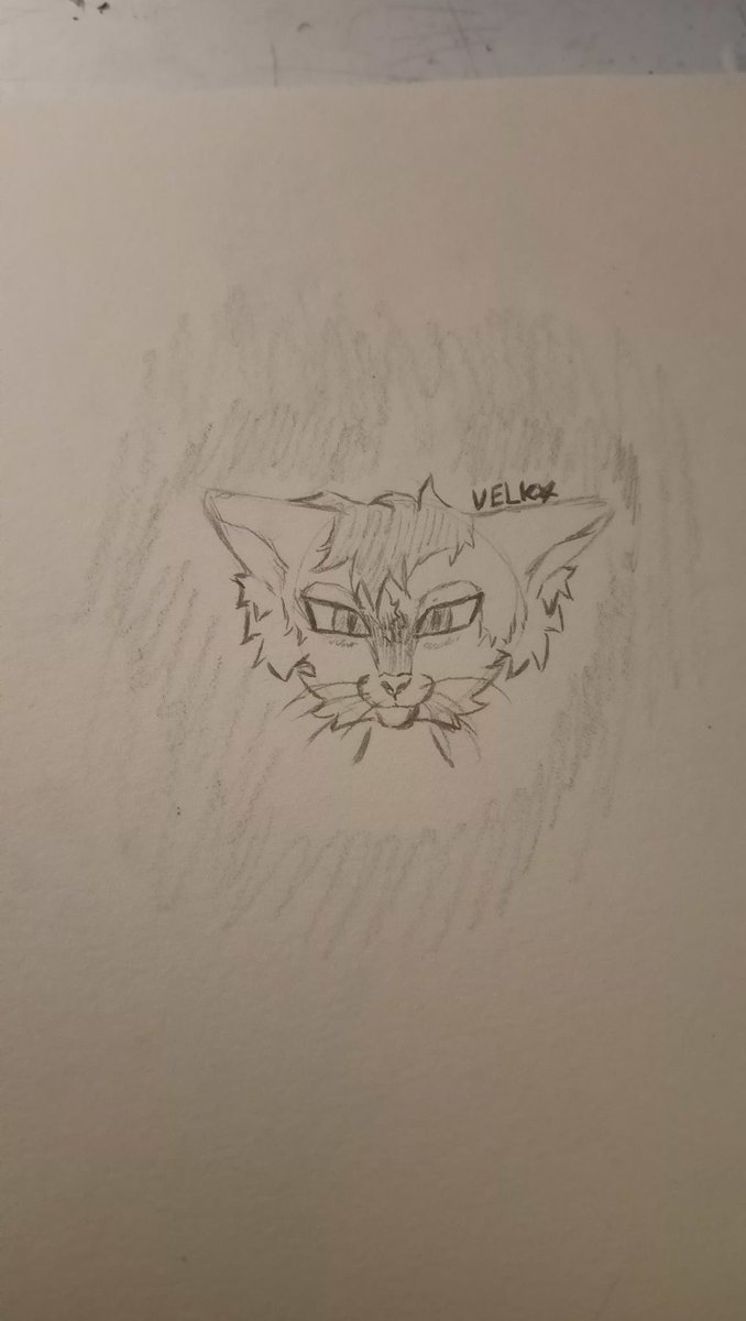 Velkrryn's tweet photo. Well I did something.. some sort of doodle? Or art.. ain't the best but here it is. https://t.co/A44dHdDE8Y