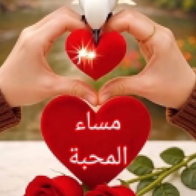 j5gk3k's tweet photo. مساء المحبه https://t.co/9qK9cfpRXz