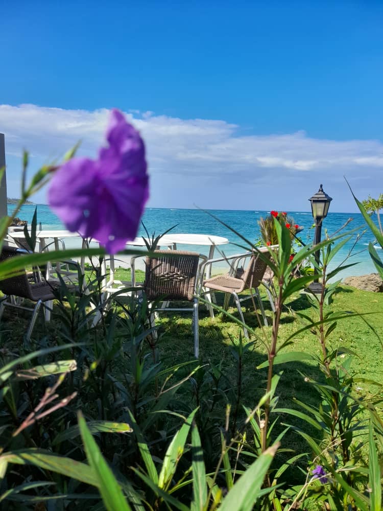 Guantanamo14847's tweet photo. En Baracoa, cada amanecer pinta un cuadro distinto: montañas que abrazan el cielo y playas que susurran historias. Naturaleza que inspira el alma.
#CubaUnica
 #CubaTravel
#ParaConocerCuba https://t.co/oageFcWYug