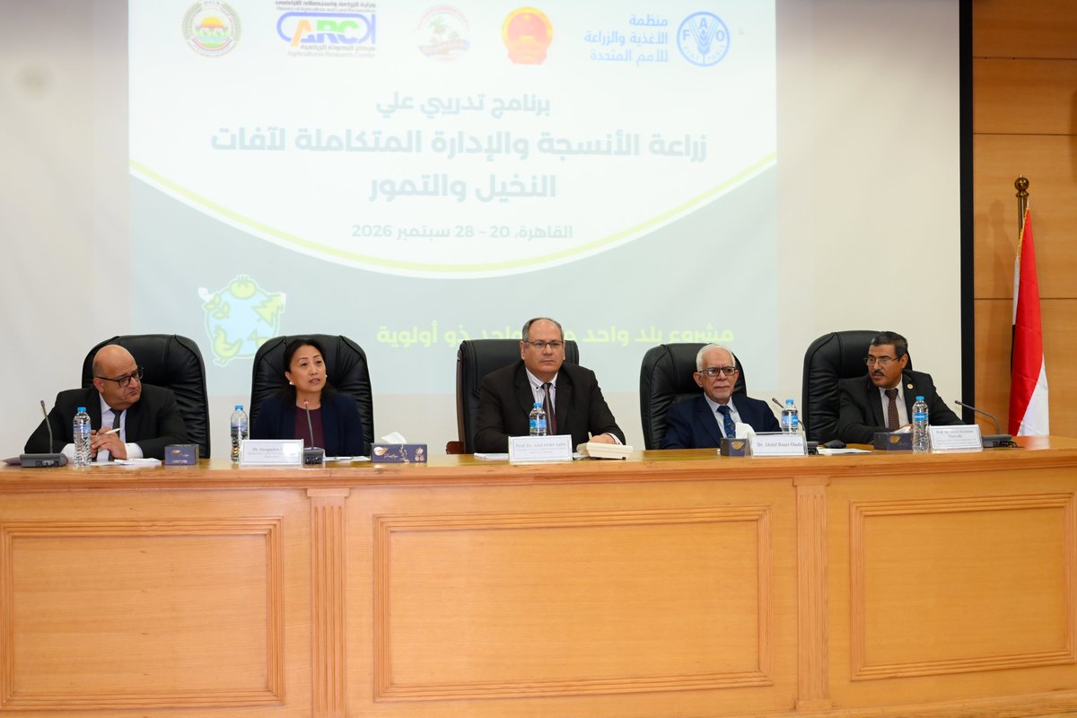 FAOEgypt's tweet photo. في إطار مبادرة بلد واحد، منتج واحد ذو أولوية، 💰الحكومة الصينية، افتتحت @FAO و@agricultureagr برنامجًا تدريبيًا حول المكافحة المتكاملة لآفات نخيل التمر وزراعة الأنسجة، بمشاركة 24 متدربًا من مصر والعراق، للتعرف على أساليب مكافحة الآفات الحشرية والمرضية التي تصيب النخيل والتمور🌴 https://t.co/sOyaf7fkmq