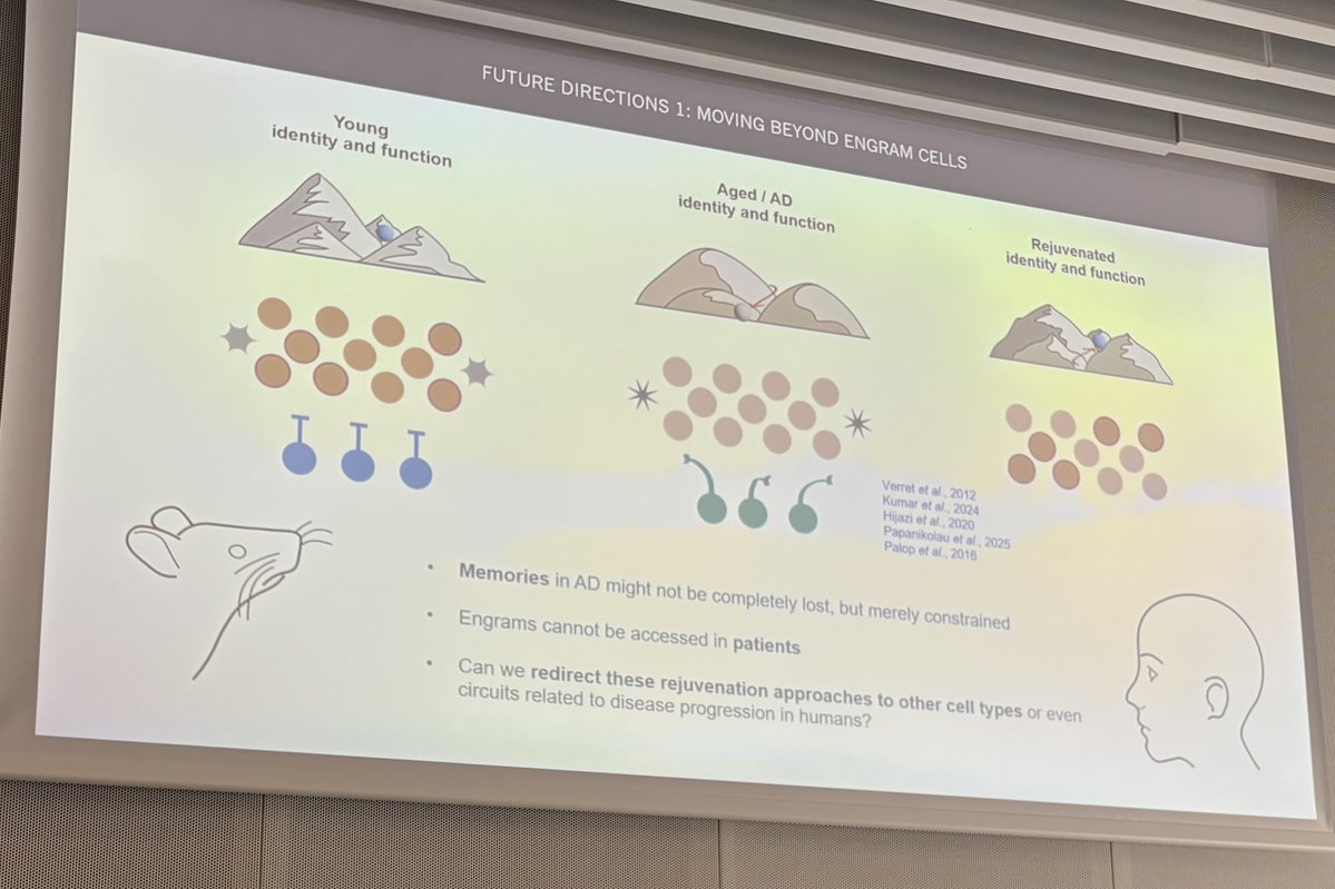 MatuteLab's tweet photo. On #WorldAlzheimersDay, an inspiring visit.
Thanks JavierBerdugoVega @EPFL for his talk on rejuvenation through cell-targeted partial reprogramming in #brainaging &amp; #Alzheimer
Can restoring neuronal &amp; glial identity recover function—and how? @biobizkaia @CIBER_ISCIII @upvehu https://t.co/jlJjYfzxYn