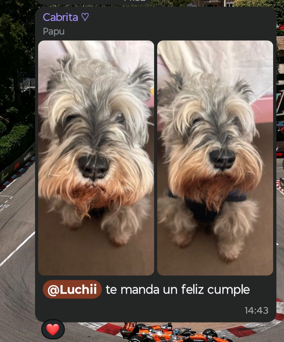 Luchhiag's tweet photo. 😭😭💗 https://t.co/uuZ5tOytjo