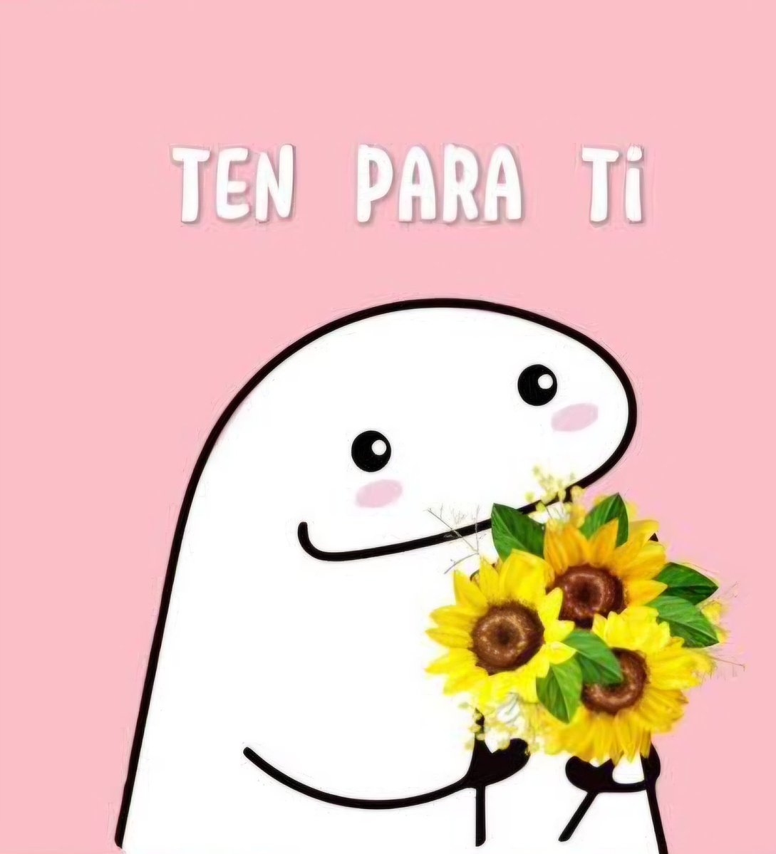 Briangg_'s tweet photo. Lo que esperaba 🌻/ mi realidad 🤣

Y se olvidaron de sus flores amarillas. https://t.co/SEzt0wdD5t