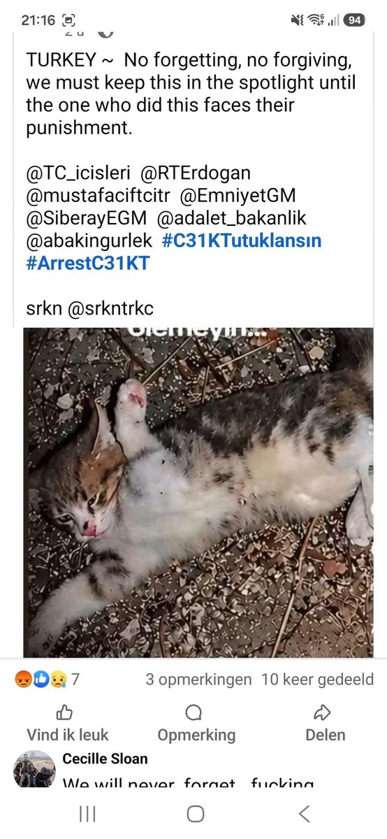 GailBow90094610's tweet photo. Continue to take action, speak out, keep fighting for #JusticeForWangWang #JusticeForCowcat #JusticeForMiko #JusticeForAite #JusticeForLittleCalf #JusticeForTheodore #JusticeForOrelha #JusticeForTeddy
#minikiçinadalet
#HayvanKatliamınaDurDe 🙏 https://t.co/MYSJstoyO2