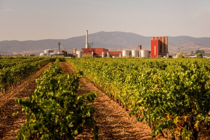 europawire's tweet photo. 🍷🇪🇸 EuropaWire España: BevZero Equipment y Tomsa Destil anuncian la instalación de la tecnología de desalcoholización ClearAlc en Destilerías San Valero, España

👉 El comunicado de prensa oficial: https://t.co/QqIkF4B4dI

🏷️ #desalcoholización #SanValero #España https://t.co/zPjuhnZuX1