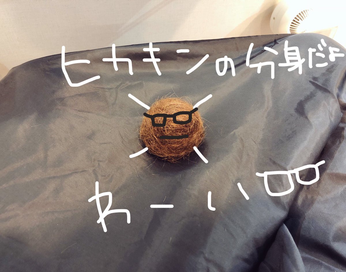 poteomania's tweet photo. https://t.co/DQW21VpvNU
