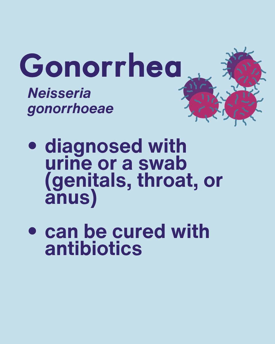 InfoASHA's tweet photo. bacterial STIs 🦠 : the big three are chlamydia, gonorrhea, and syphilis (they are all curable). Learn more at https://t.co/VVKKYG63A0 #GetTested #NGTD #STIprevention #STItest #TalkTestTreat #SaferSex #STItesting #STIawareness https://t.co/D2QTvKEplZ