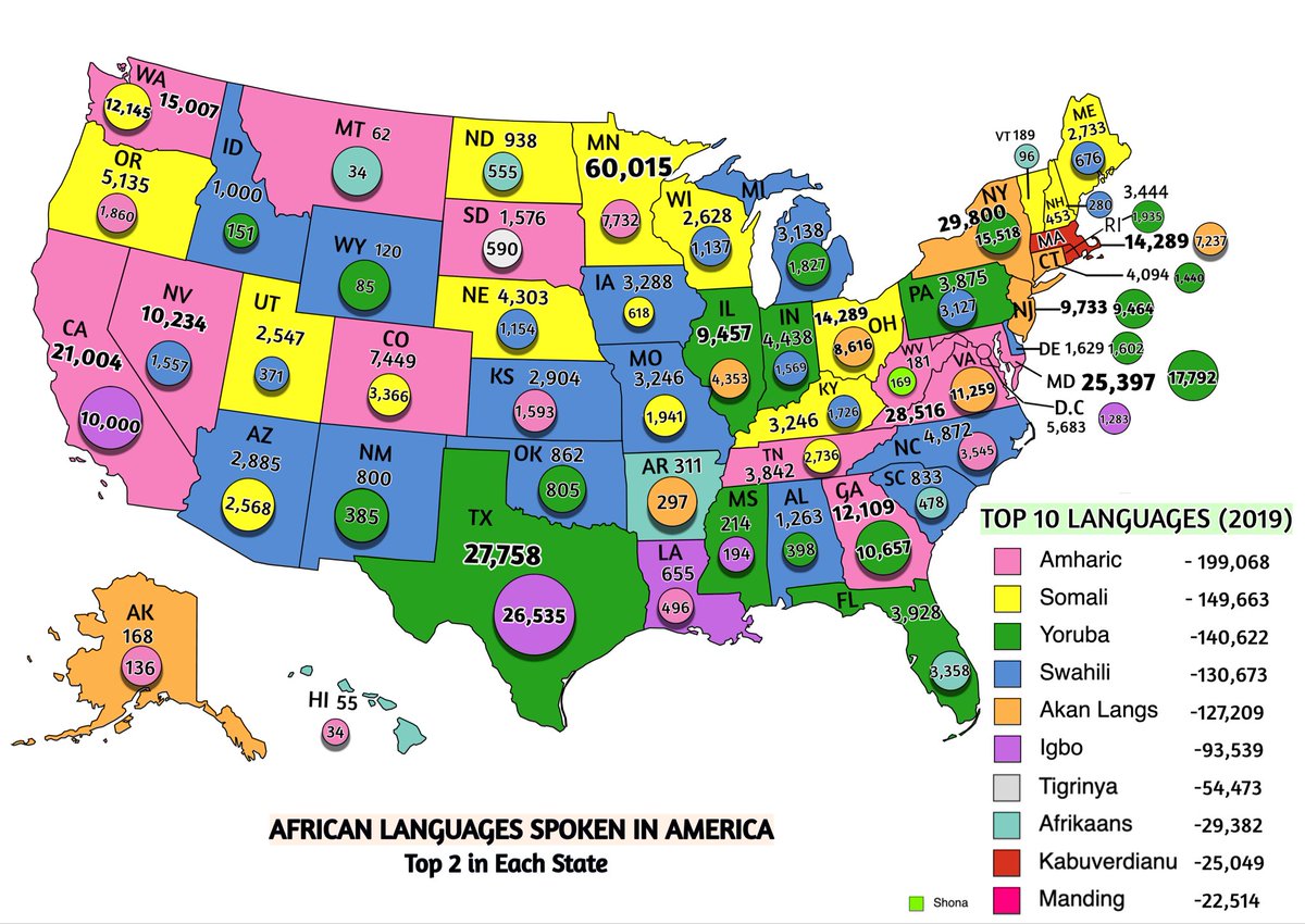 Davosteinn's tweet photo. @Swiss89779194 @stillTerence1 @Chad12873363 @DamilareTiamiy3 @Unabombaar Omo Ibo there are more Yorubas in the US https://t.co/OI6vXVciA9