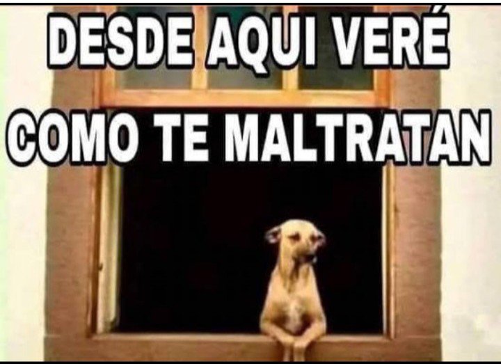 CadavidNolasco's tweet photo. @IvanCepedaCast https://t.co/tW9y2Qbjwq