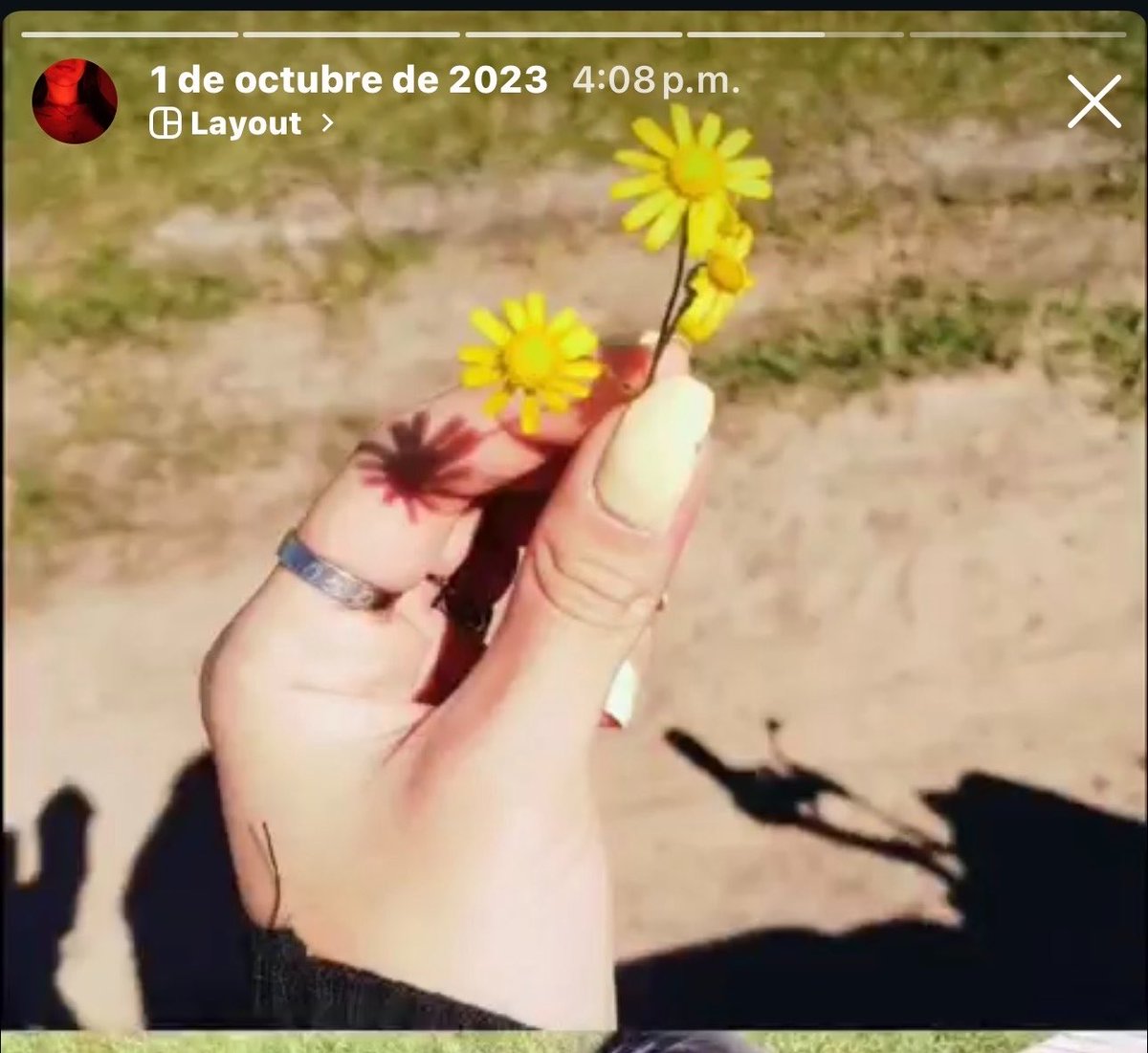 xmxrxllx's tweet photo. perfecto momento para recordar q estuve CUATRO años de novia y nunca recibí ni una flor cortada hasta q un día lo obligue a sacar unas del pasto y encima tuve el tupe d PRESUMIRLAS jajsjsjsj nunca jamás va a existir alg más migajera q yo cuando estaba con ese 💩 https://t.co/PLvpc08gVw