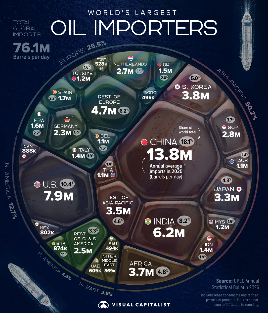 VisualCap's tweet photo. Ranked: The World’s Largest Oil Importers 🛢️ 

https://t.co/Qs0xoTKcNo https://t.co/ZwwGHZrVCK