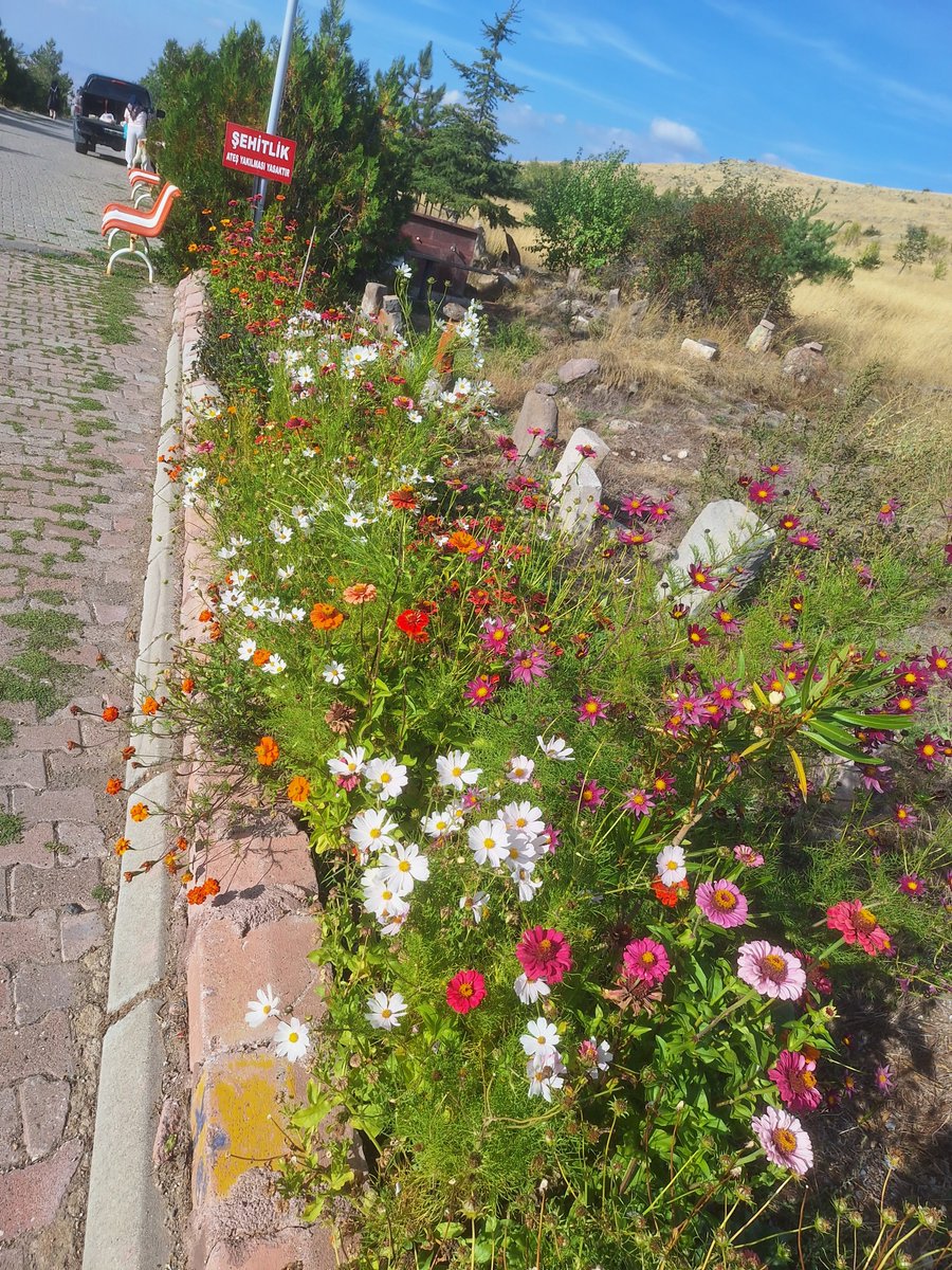AdemMYm's tweet photo. Yaş ilerleyince hasret artarmış..
Ah anadolu ah sana doymak mümkün mü, https://t.co/tRjM5EztsT