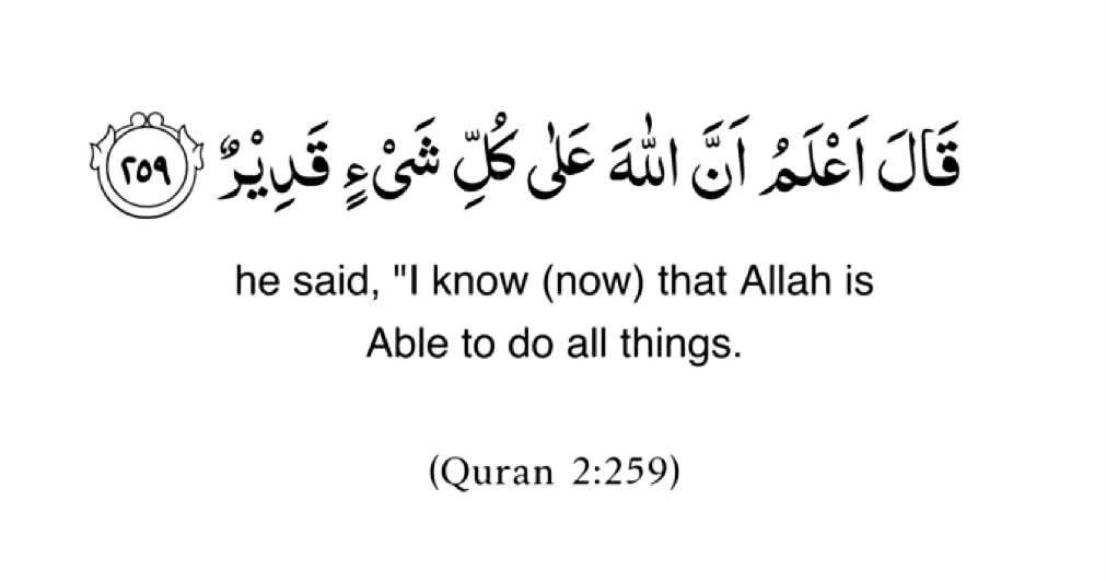 Rohi_Alii's tweet photo. He is All-Able and Capable! The Lord of the Worlds! SubhanAllah! https://t.co/8cIS1sZQ33