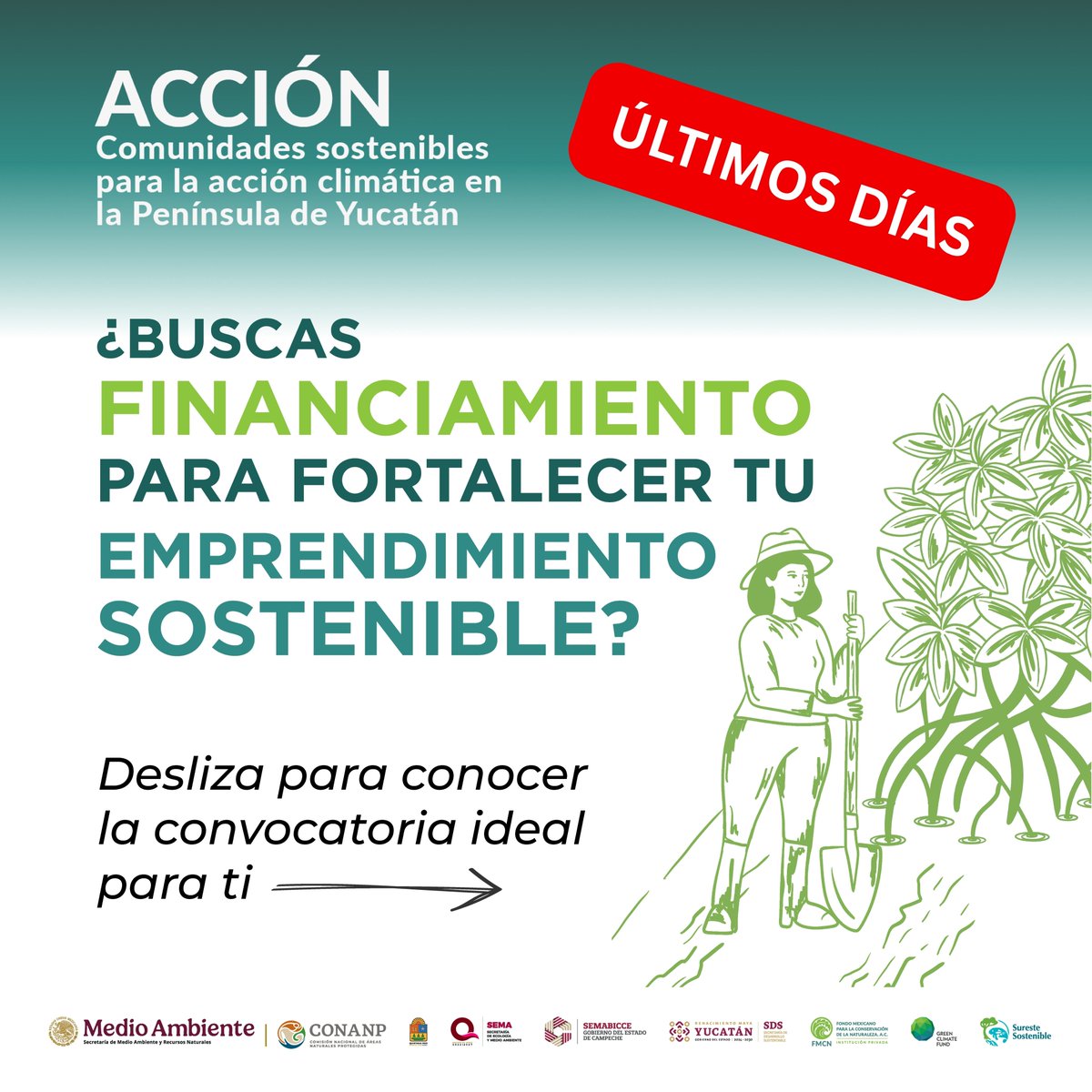 FondoMexicano's tweet photo. 📣 Quedan pocos días para participar en las convocatorias #ACCIÓN

Aún estás a tiempo de presentar tu propuesta.

🌱 Restauración, conservación y producción sostenible.
👥 Estrategias de emprendimientos sostenibles para PLAT.

🔗 https://t.co/dFBy73x3nW https://t.co/hgmM9kBwXX