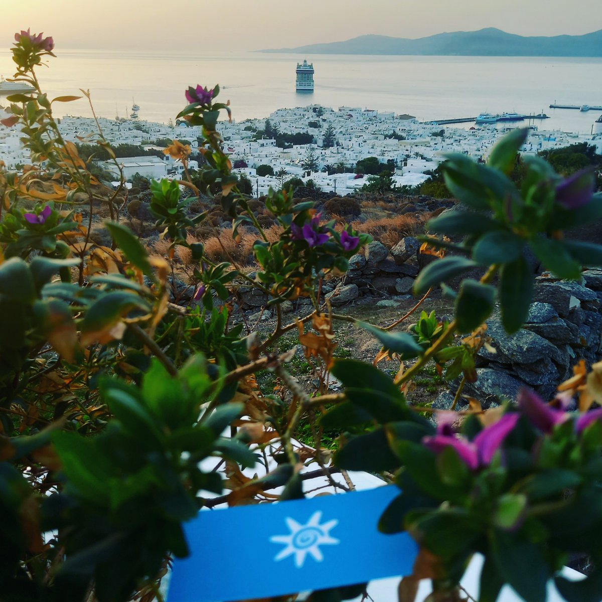 noahmartinv2i2e's tweet photo. Discover Mykonos

Discover this amazing island with our agency and book your accommodation now. Contact: info@naxosintermediate. com https://t.co/szsmpiCMSS