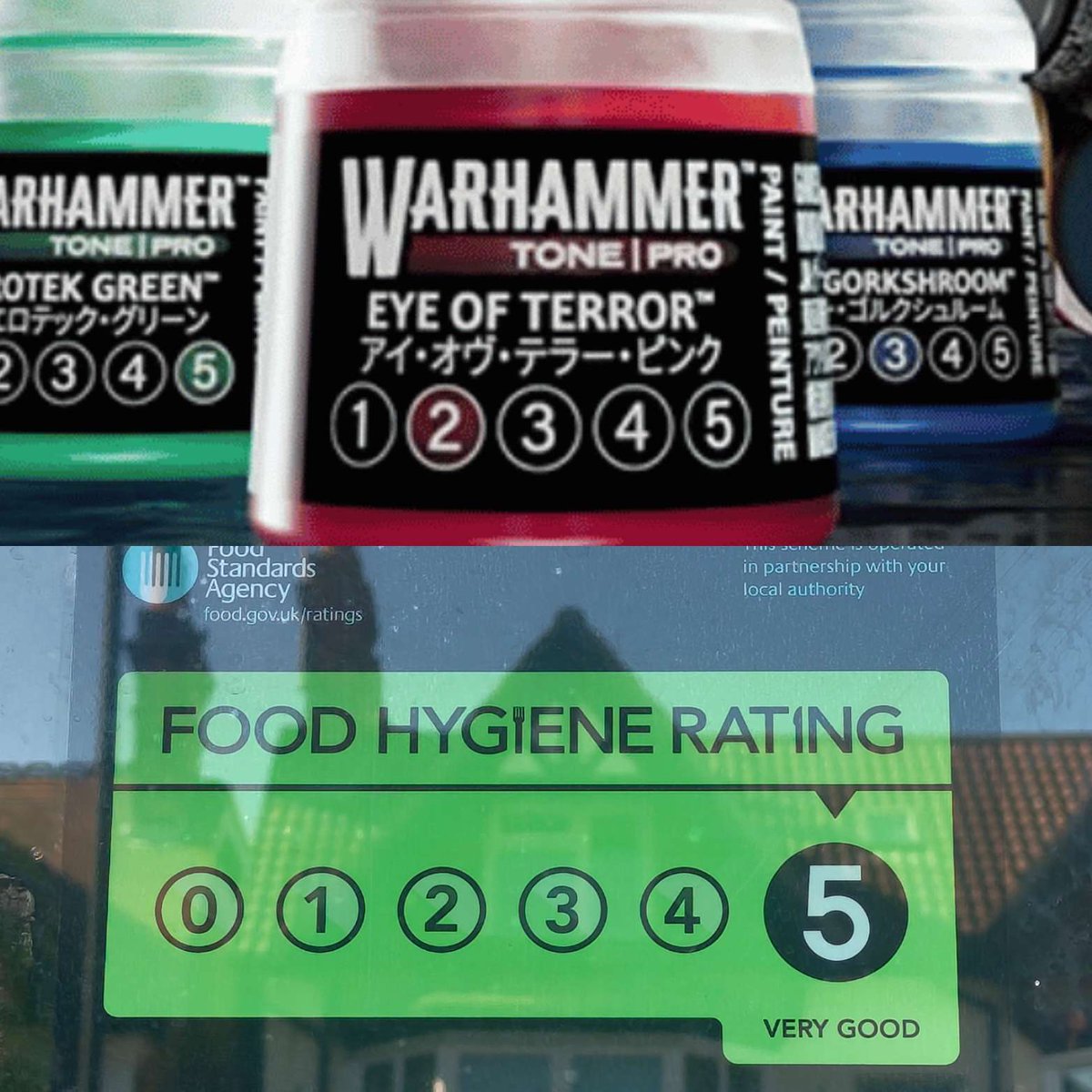 PlatesmasherTV's tweet photo. I knew this reminded me of something... #paint #tonepro #warhammer https://t.co/Hl7HxHh532