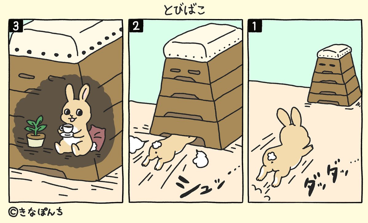KINAPONCH's tweet photo. なんなんじゃなんじゃなんじゃ21🐰 #きなぽんち https://t.co/BCfn2JrV5w