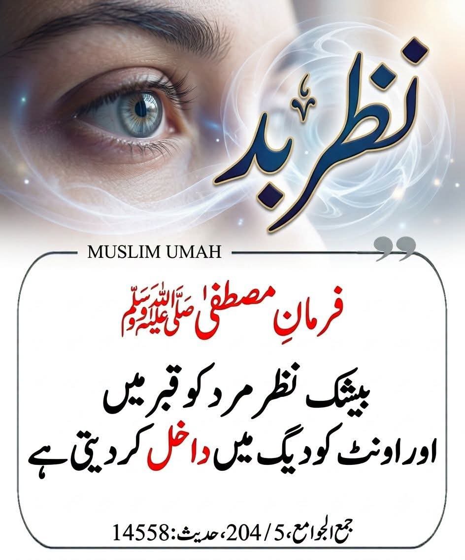 ChotiSheikhni's tweet photo. 💔 https://t.co/fmNupbYXxw