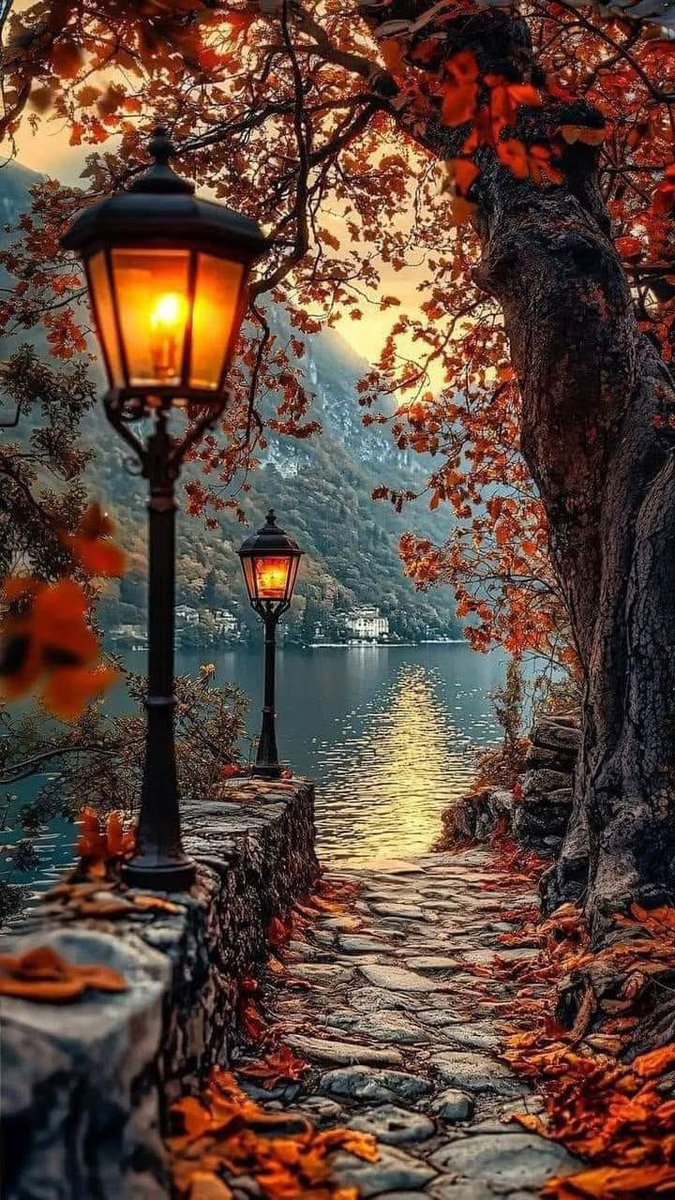 AmaniKka's tweet photo. Good evening my friends! https://t.co/UfoGc1zRPp