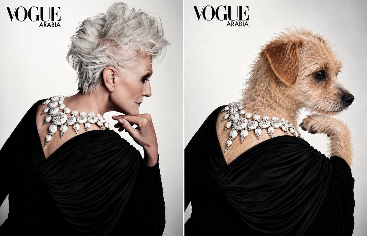 CaliTheFanpage's tweet photo. @voguemagazine is introducing two new stars on their magazine cover. 

@mayemusk and Cali. 🐶🌪️ https://t.co/SOx2ST128X