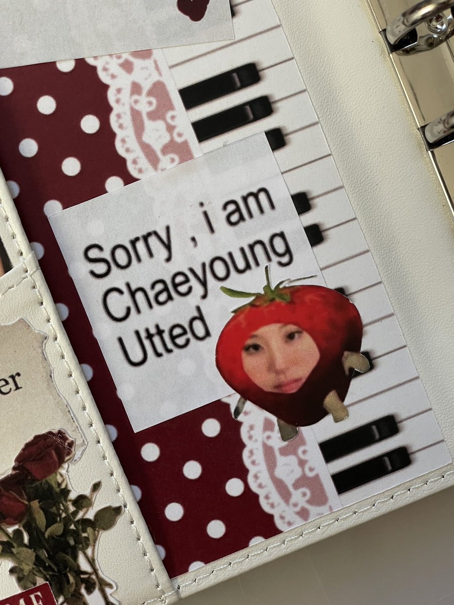 B3nny_22's tweet photo. My Chaeyoung binder decor!! https://t.co/Qj0oaegBGX