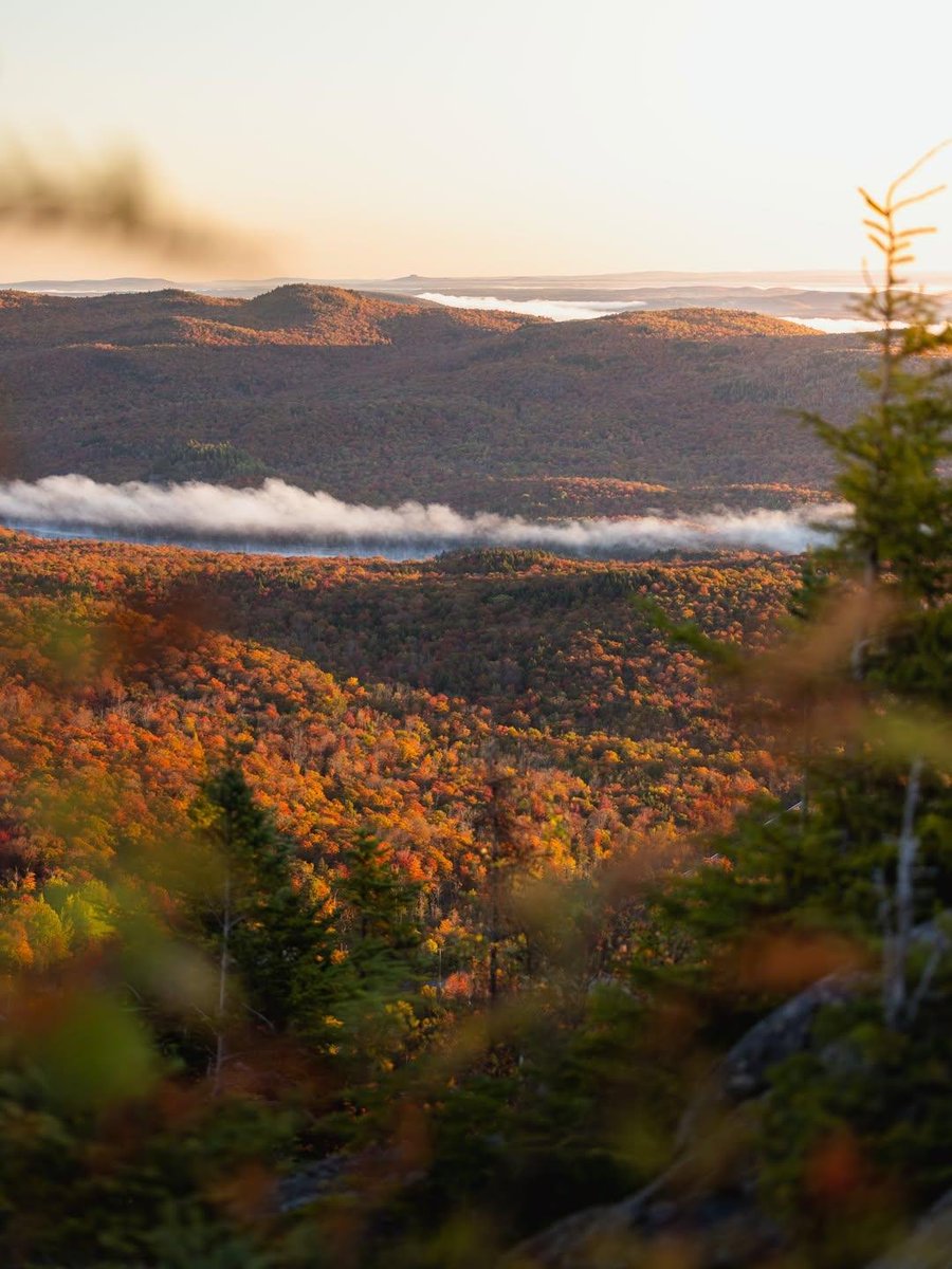earthviewss1's tweet photo. Fall mornings of Quebec, Canada 🇨🇦 https://t.co/pypUhYkhC2