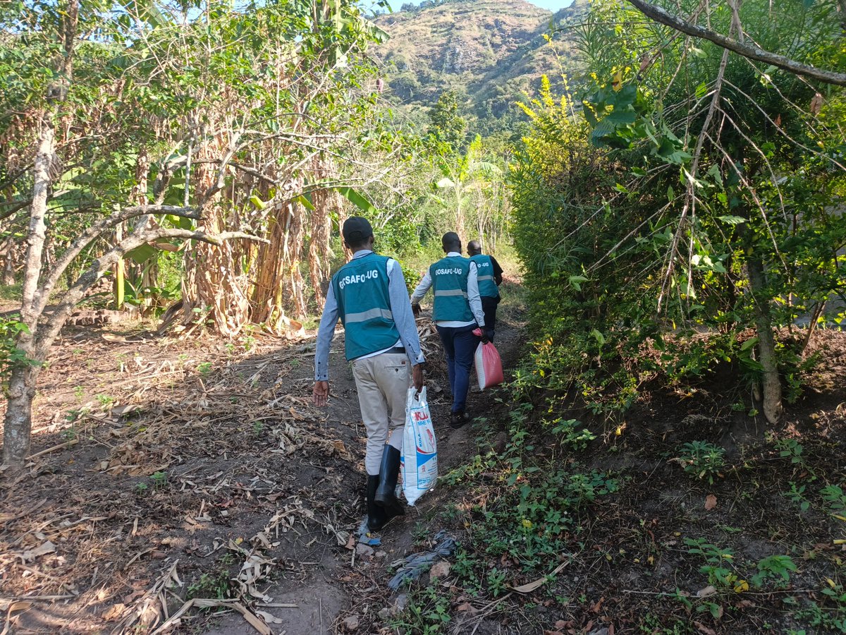 Gosafo_ug's tweet photo. 🌾"WHAT DOES IT TAKE TO REACH A HUNGRY CHILD?"
It takes hours of climbing steep, unforgiving hills. It takes carrying heavy food packages on our heads, across our backs, and in our aching hands where no roads can go. DAY ONE of our Emergency Relief Food Distribution Drive 💦 https://t.co/t3YjvOFlQq